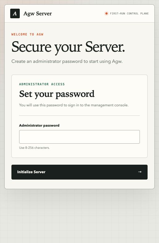 The Server’s first-run setup page: set an administrator password when accessing locally. Initialization was not submitted for this screenshot.